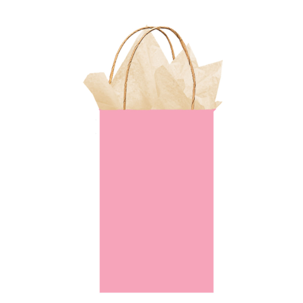 Candy Buffet Light Pink Small Paper Gift Bags with Handle x 12 | eBay