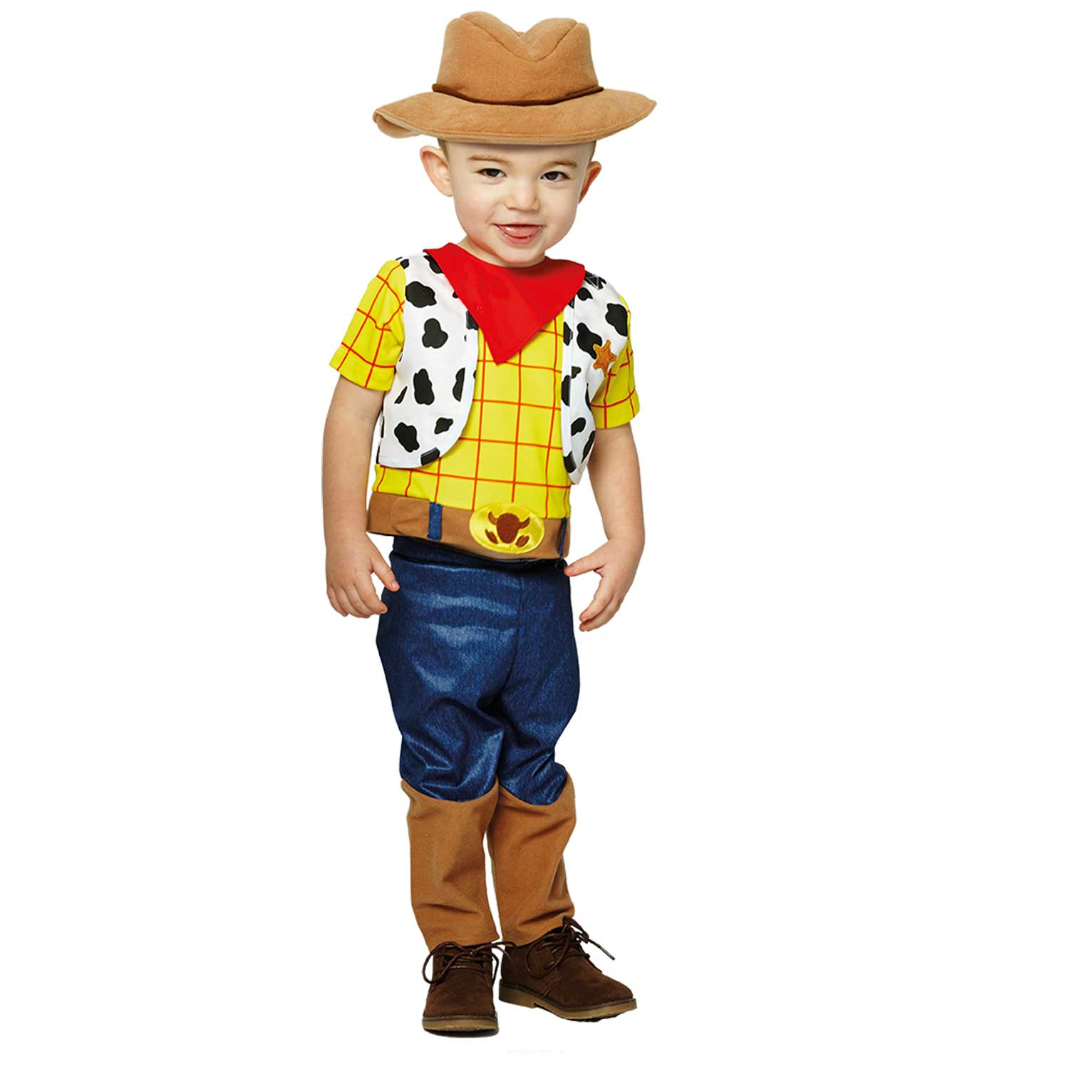 woody toy story fancy dress