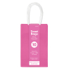 Bright Pink Paper Gift Bags 13cm x 21cm - 6 PKG/10