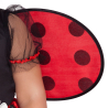 Little Ladybug Costume - Age 12-24 Months - 1 PC