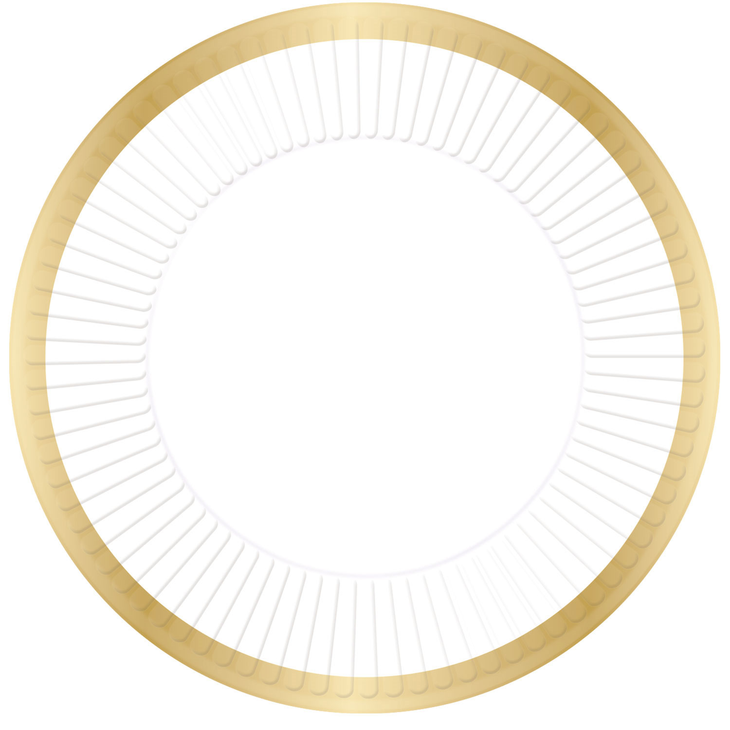 white and gold paper plates